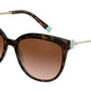 Tiffany TF4176 Cat Eye Sunglasses  81343B-HAVANA ON TIFFANY BLUE 55-17-140 - Color Map havana