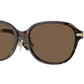 Burberry BE4429D Cat Eye Sunglasses  300273-Dark Havana 56-140-17 - Color Map Brown