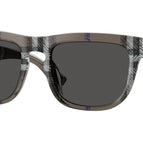 56-145-20 / 414787-Check Lichen