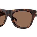 53-145-19 / 300273-Dark Havana