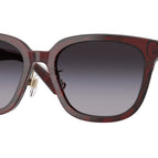 57-145-20 / 41158G-Check Red