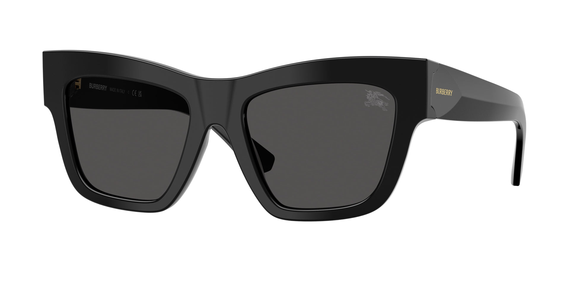 Burberry BE4449F Square Sunglasses  300187-Black 52-140-19 - Color Map Black