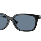 54-145-15 / 30012V-Black - Polarized