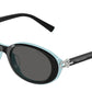 Tiffany TF4242D Oval Sunglasses