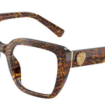 DOLCE & GABBANA DG3441 Square Eyeglasses  3470-Leo Transparent 53-145-19 - Color Map Brown