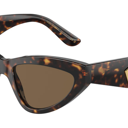 DOLCE & GABBANA DG4439 Cat Eye Sunglasses  502/73-Havana 55-145-18 - Color Map Tortoise