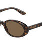 DOLCE & GABBANA DG4443 Oval Sunglasses  502/73-Havana 52-140-19 - Color Map Tortoise