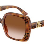 56-145-19 / 338013-Havana Leo