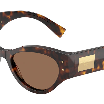 DOLCE & GABBANA DG4480 Butterfly Sunglasses  502/73-Havana 53-140-19 - Color Map Tortoise