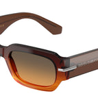 54-145-19 / 348618-Gradient Striped Brown