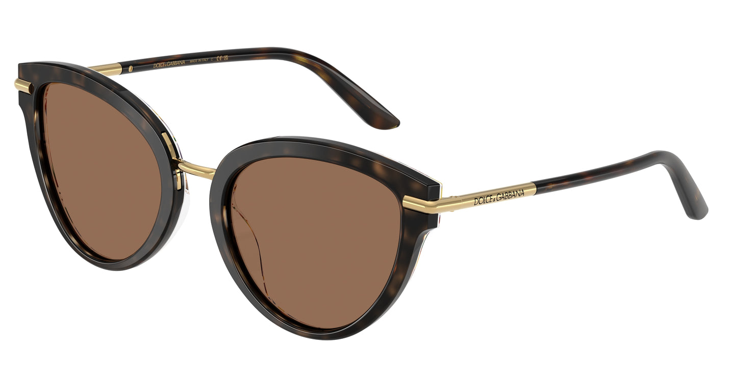 DOLCE & GABBANA DG4492 Butterfly Sunglasses  321713-Havana On White Barrow 55-145-21 - Color Map Tortoise