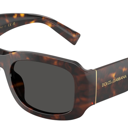DOLCE & GABBANA DG4503 Rectangle Sunglasses  502/87-Havana 57-140-19 - Color Map Tortoise