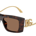 51-145-16 / 502/73-Brown Tortoise