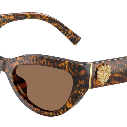 DOLCE & GABBANA DG4536 Cat Eye Sunglasses  347073-Leo Transparent 55-145-20 - Color Map Brown