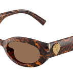 53-145-19 / 347073-Leo Transparent