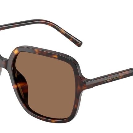 DOLCE & GABBANA DG4539 Square Sunglasses  502/73-Havana 55-145-17 - Color Map Tortoise