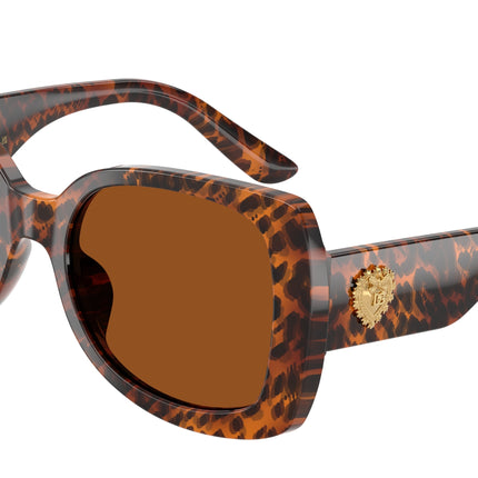 Dolce & Gabbana Kids DX4012 Butterfly Sunglasses  347073-Leo Transparent 50-130-17 - Color Map Brown