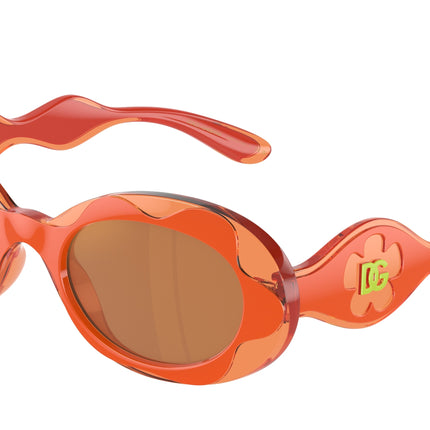 Dolce & Gabbana Kids DX6005 Oval Sunglasses  33887T-Orange 49-130-19 - Color Map Orange