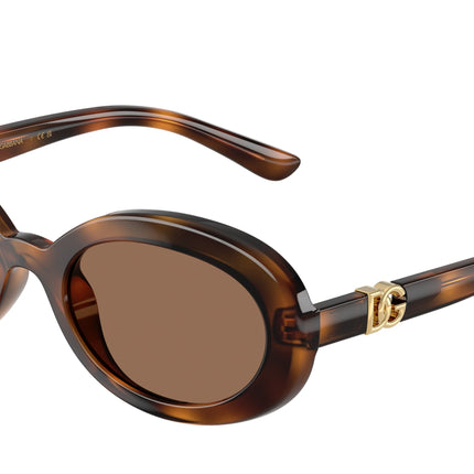Dolce & Gabbana Kids DX6007U Oval Sunglasses  502/73-Havana 49-130-19 - Color Map Tortoise