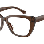 52-140-16 / 6251-Shiny Transparent Brown