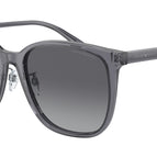 57-145-19 / 5029T3-Shiny Transparent Grey - Polarized