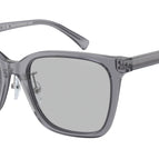 55-145-20 / 502987-Shiny Transparent Grey
