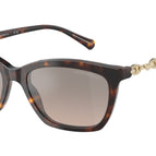 54-140-18 / 50266I-Shiny Havana