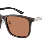 57-145-19 / 502673-Shiny Havana