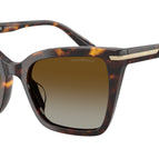 53-140-19 / 5026T5-Shiny Havana - Polarized