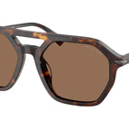 57-145-19 / 300673-Dark Tortoise