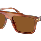 57-145-18 / 403973-Brown Horn