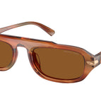 55-145-21 / 403973-Brown Horn