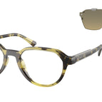 52-145-20 / 4029L0-Olive Tortoise