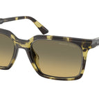 55-145-18 / 4029L0-Olive Tortoise