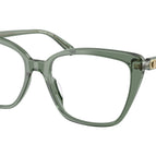 53-140-17 / 4022-Smokey Olive Transparent