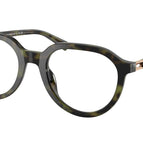 53-145-21 / 3943-Olive Tortoise