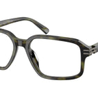 56-145-17 / 3705-Olive Tortoise