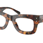 47-140-23 / 3904-Saddle Tortoise