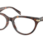 54-145-18 / 4031-Luggage Tortoise