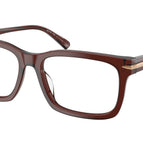 55-145-17 / 3401-Brown Transparent