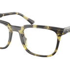 53-145-20 / 4029-Olive Tortoise