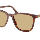 53-140-17 / 26E10R-Striped Tobacco