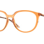 53-141-17 / 815005-Polished Transparent Ginger