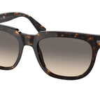 56-150-19 / 2AU718-Tortoise