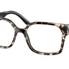 54-140-17 / UAO1O1-Talc Tortoise