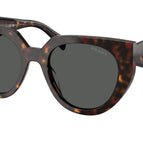 52-140-20 / 17N40L-Root Tortoise