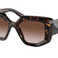 Prada PR14ZS Irregular Sunglasses  2AU6S1-Tortoise 50-140-18 - Color Map Tortoise