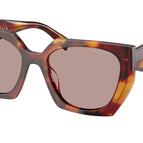 55-140-19 / 22A20I-Poppy Tortoise