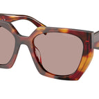 54-140-19 / 22A20I-Poppy Tortoise