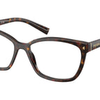 53-145-16 / 17N1O1-Root Tortoise